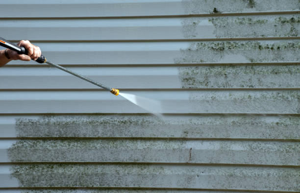 Best Fence Cleaning  in Jim Thorpe, PA